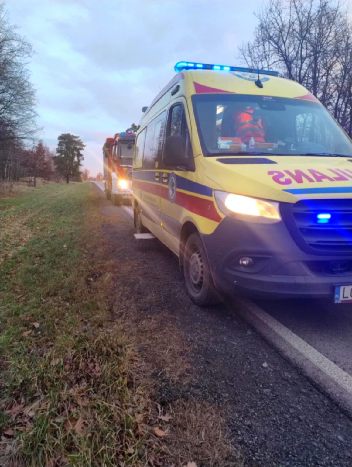 Zderzenie toyoty z dzikim zwierzęciem Na miejscu interweniowały służby