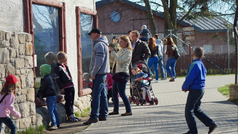 Kolejny rok z rzędu zamojskie zoo odwiedza coraz mniej osób. Ostatnie dwa dni pokazały jednak, że zainteresowanie jest ogromne