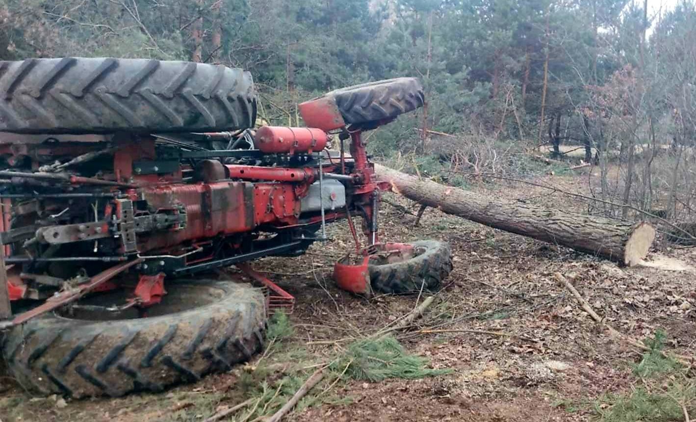 Tragiczny wypadek podczas ścinki drzewa. Mężczyzny nie udało się uratować (foto)