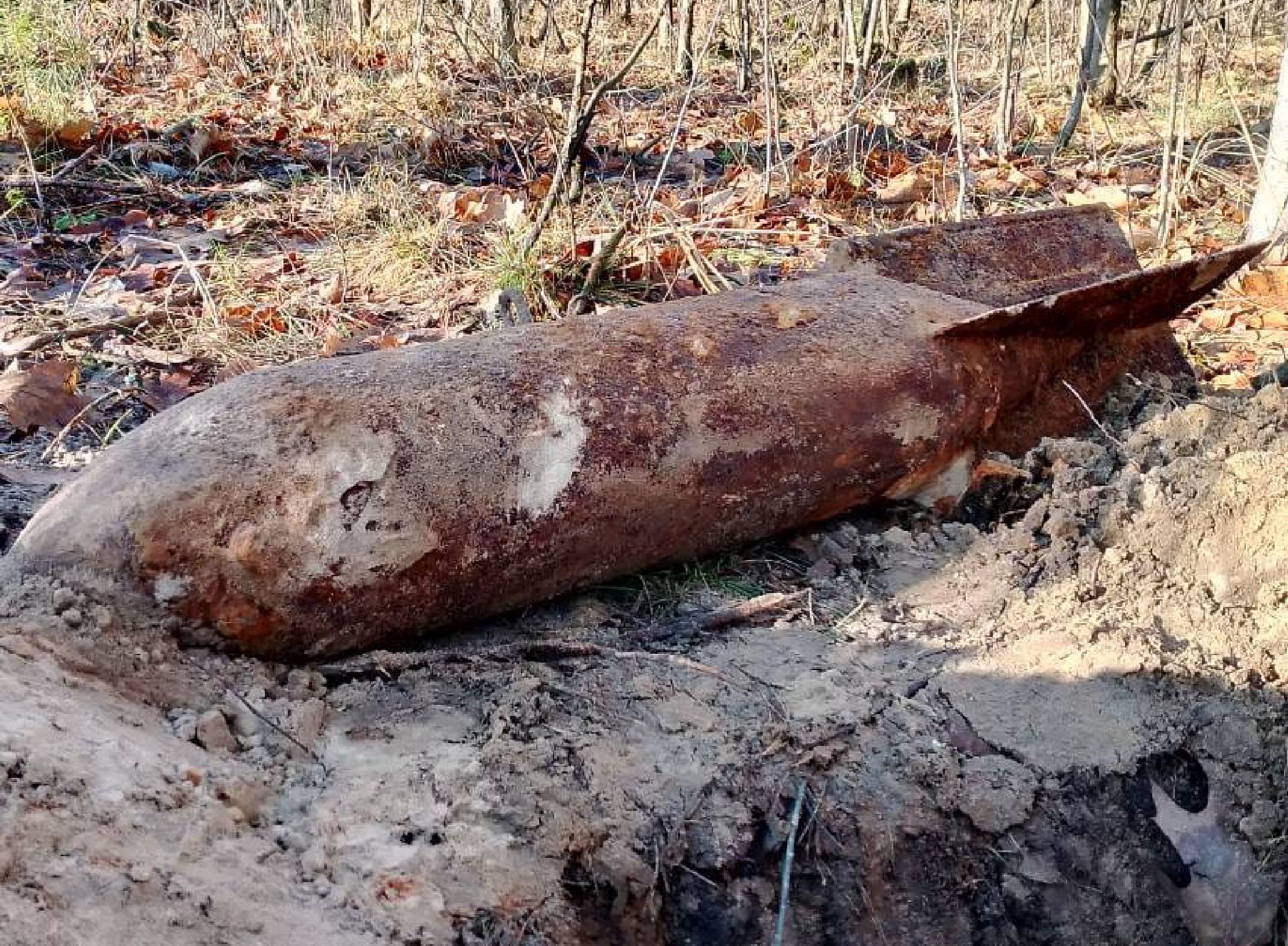 Zrzucono ją z samolotu, przeleżała w ziemi kilkadziesiąt lat. W lesie znaleziono bombę lotniczą (foto)