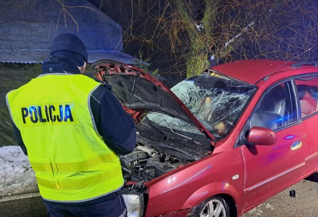 W wypadku zginął pasażer. Kierujący nietrzeźwy i bez uprawnień (zdjęcia)