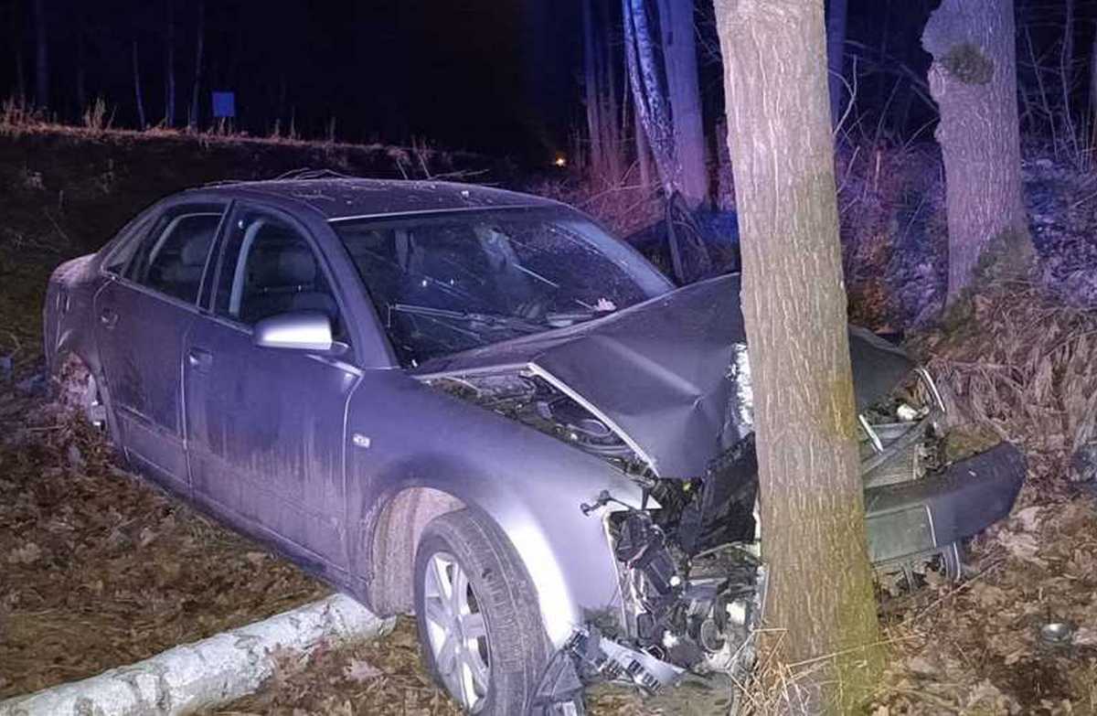 Nie chciał uderzyć w dzikie zwierzę, audi zatrzymało się na drzewie. Nastolatka w szpitalu (zdjęcia)