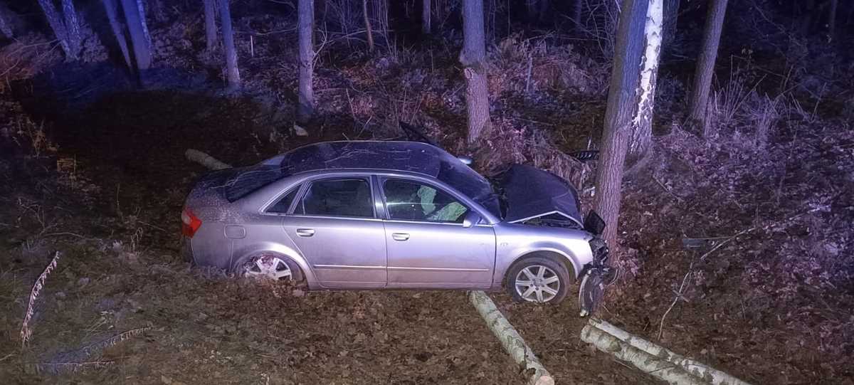 Nie chciał uderzyć w dzikie zwierzę, audi zatrzymało się na drzewie. Nastolatka w szpitalu (zdjęcia)