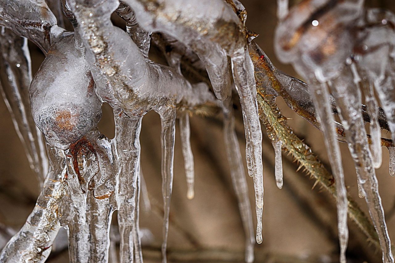 Ostrzeżenie meteorologiczne dla województwa lubelskiego. Groźne oblodzenie na drogach