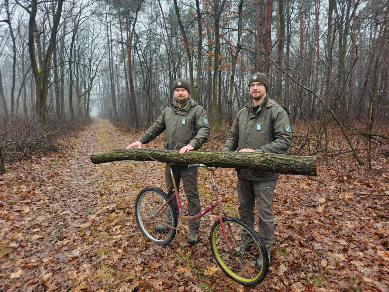 Nietypowa kradzież drewna w Nadleśnictwie Puławy. Sprawca użył roweru ze specjalną konstrukcją